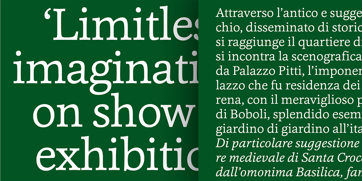 Cassia, a Slab Serif Font by Hoftype (Photo 5 of 29)