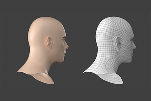 Natural Male Head 01 Generic Mesh