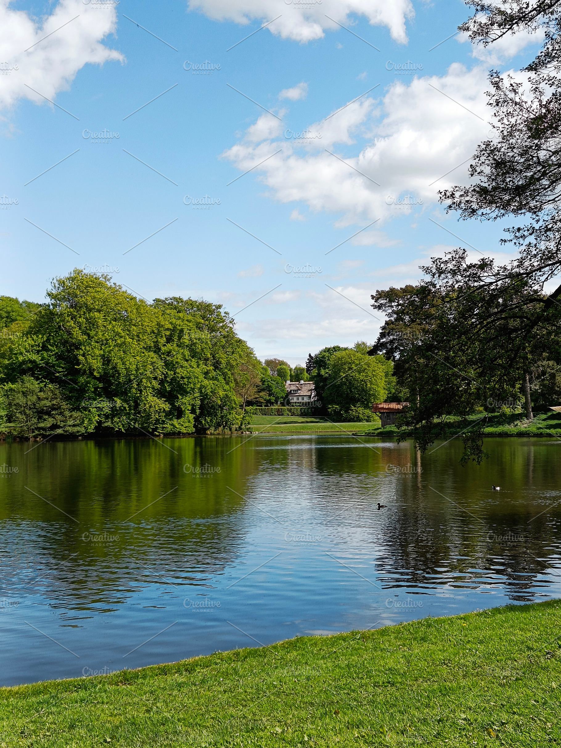 Tranquil lakeside scene with lush green trees and blue sky. Copenhagen, Denmark, a Photo by AS photostudio