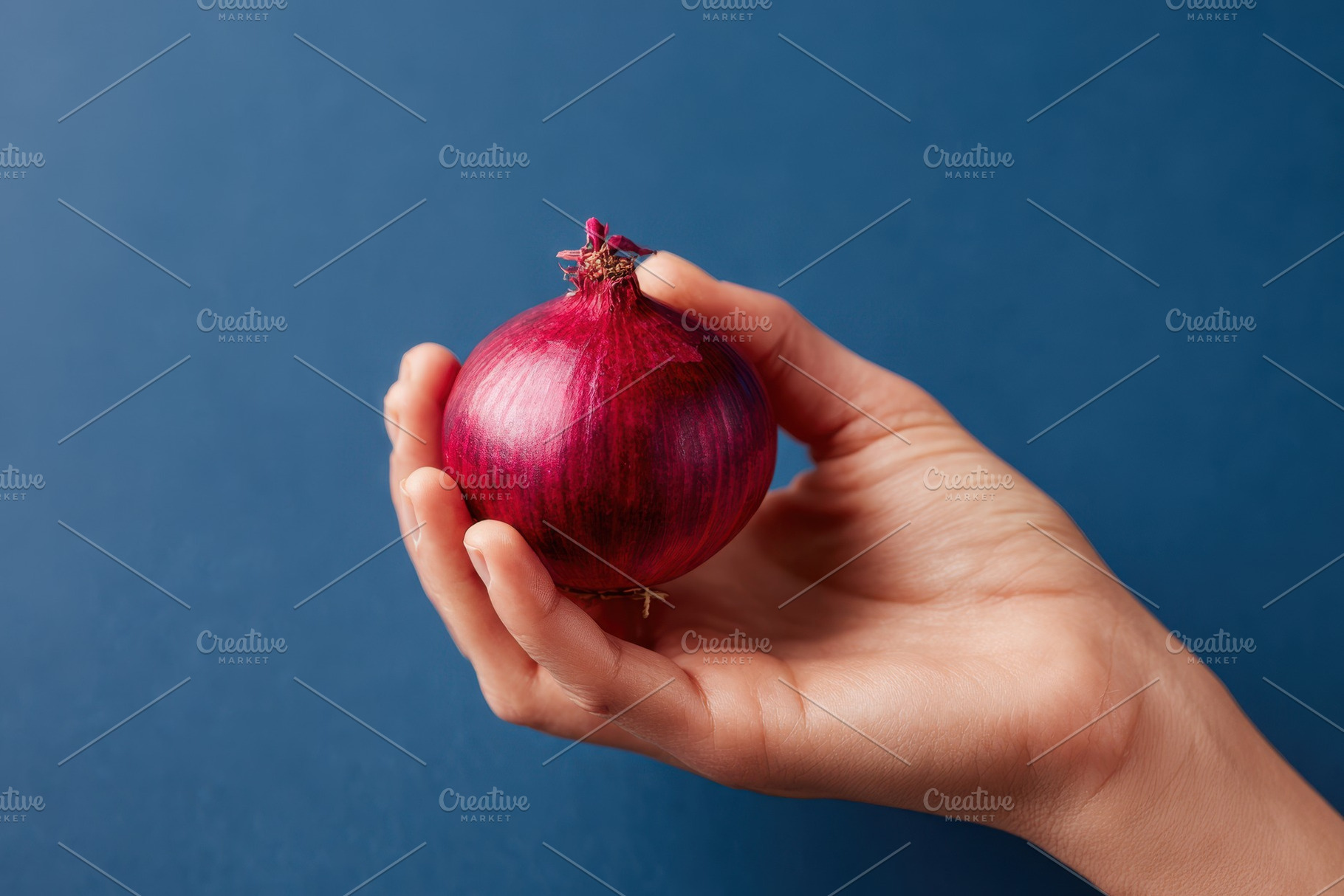 Hand holding red onion, a Food & Drink Photo by AlyaAnd