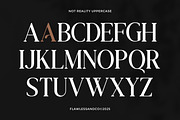 Not Reality - Retro Serif Font, a Serif Font by Flawless And Co (Thumbnail 6 of 10)