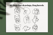 30 Dogs line drawings. Dog breeds, an Outline Icon by velychko.ua (Thumbnail 7 of 9)