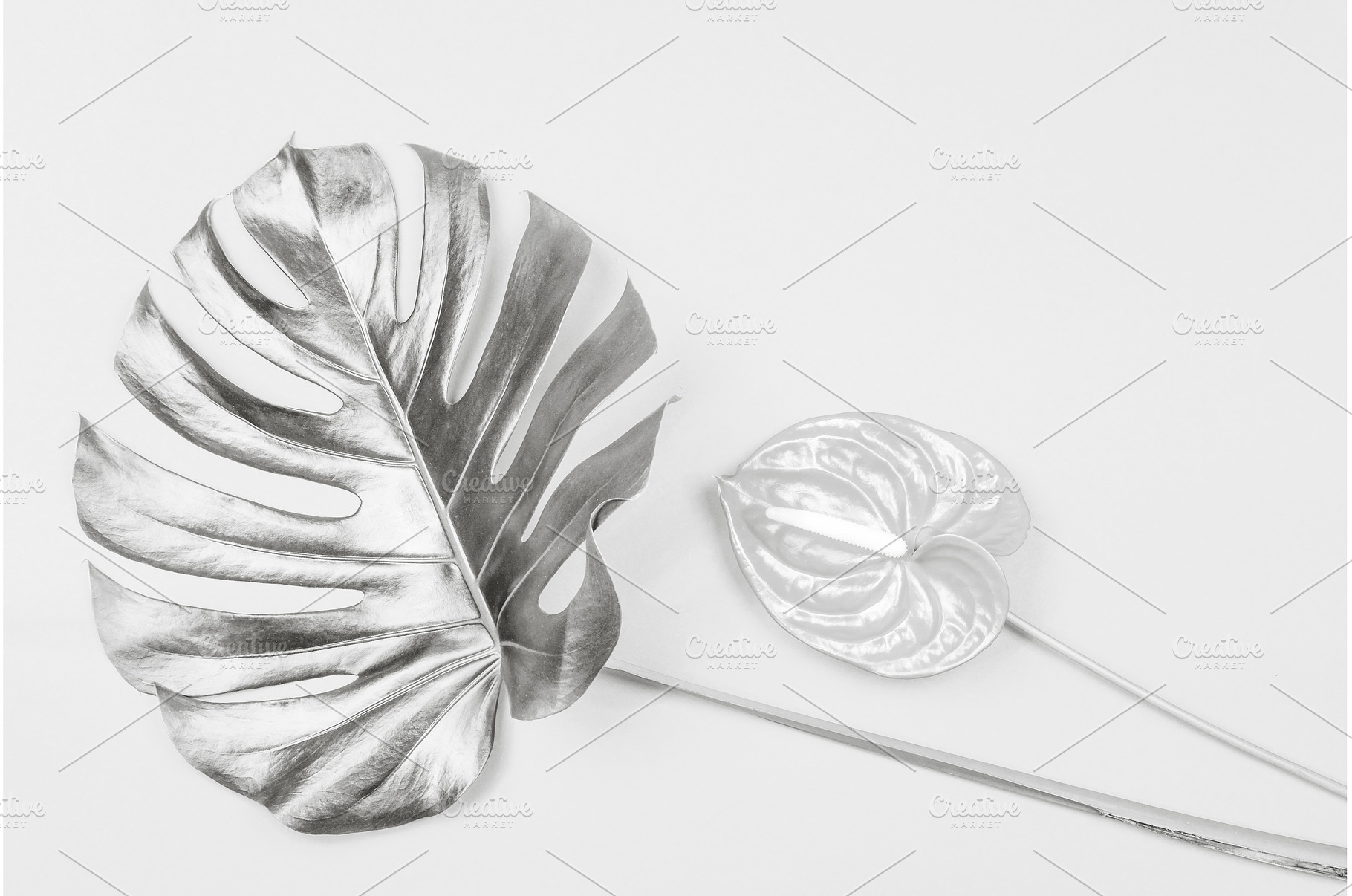 Silver monstera leaf and anthurium, a Nature Photo by Anna Efetova