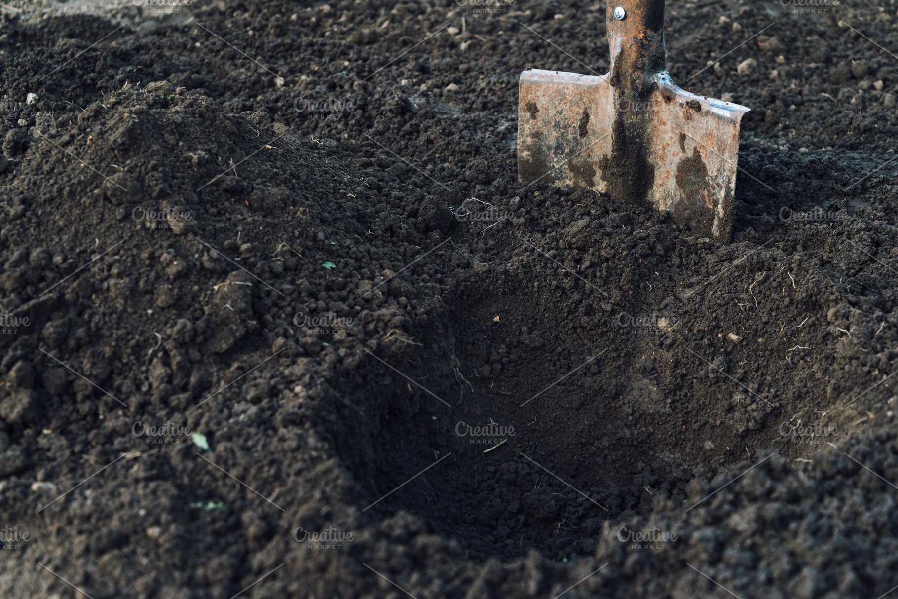 Gardening shovel, an Industrial Photo by P&G