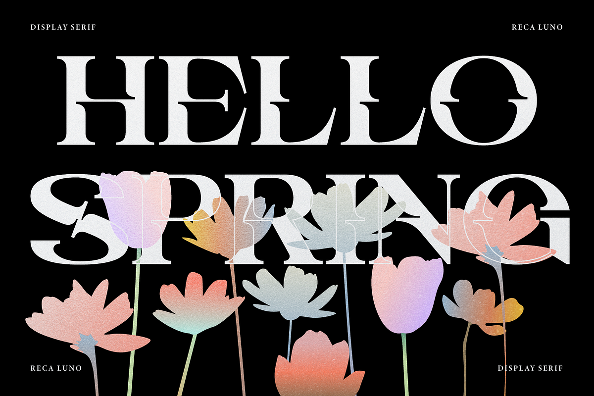 Reca Luno | Display Serif, a Serif Font by gracetype_studio (Photo 6 of 12)