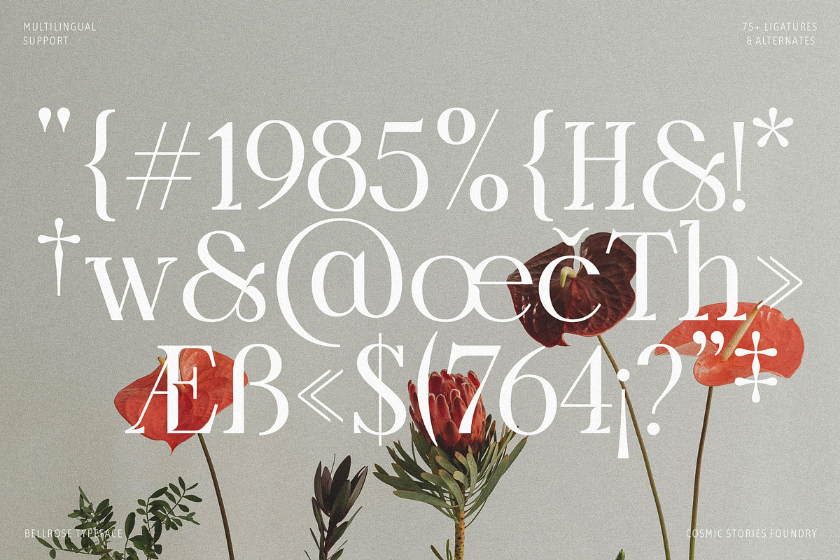 Bellrose Display Serif Font, a Serif Font by CarmineType (Photo 23 of 24)