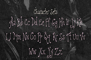 Plumdrunk Slender Display Font, a Handwritten Font by The October Creative (Thumbnail 3 of 8)