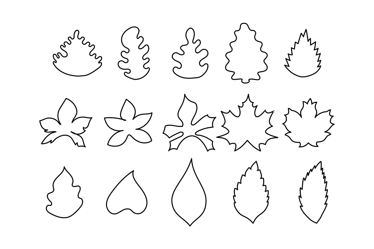 leaves outline icons collection set, an Object Illustration by nicollr's store (Photo 1 of 3)