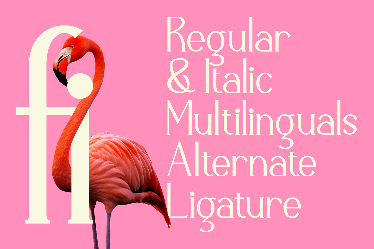 Calvarra - Modern Serif Font, a Serif Font by Rishsketch (Photo 10 of 14)