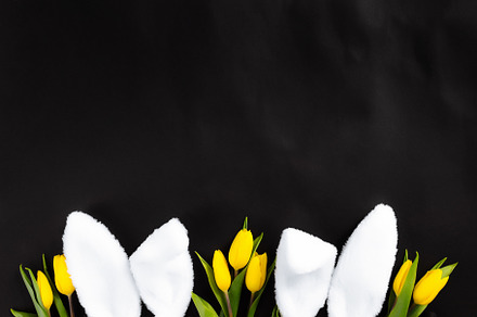 Easter. White fluffy rabbit ears, a Holiday Photo by Lenor4ik
