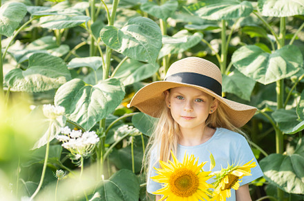 Beautiful little girl in sunflowers, a Person Photo by Olena Rudo