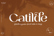 Catilde Modern Sans Serif, a Serif Font by Fortunes Co (Thumbnail 1 of 17)