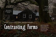 Unusual Decorative Display Serif, a Serif Font by foxsong (Thumbnail 4 of 6)