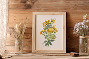 Wildflower Watercolor Collection, a Decorative Illustration by Anna Druzhkova (Thumbnail 17 of 23)
