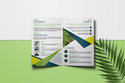 Business Bifold Brochure V1049, a Brochure Template by Template Shop (Thumbnail 3 of 4)