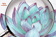 Succulents Watercolor clipart, an Illustration by BarvArt (Thumbnail 12 of 13)