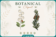 Boho Botanical Leaves Clipart Bundle, a Nature Photo by Actual Pixel (Thumbnail 4 of 21)