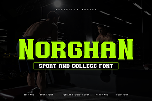 Norghan - College Font, a Serif Font by Iqsiart Studio
