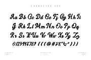 Cendrya - A Handwritten Font, a Handwritten Font by Hanstype.com (Thumbnail 2 of 9)