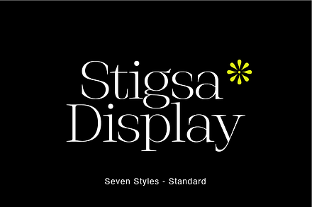 Stigsa Standard, a Serif Font by Seniors