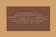 Budarli | Modern Serif Display Font, a Serif Font by MchCrafter (Thumbnail 9 of 9)