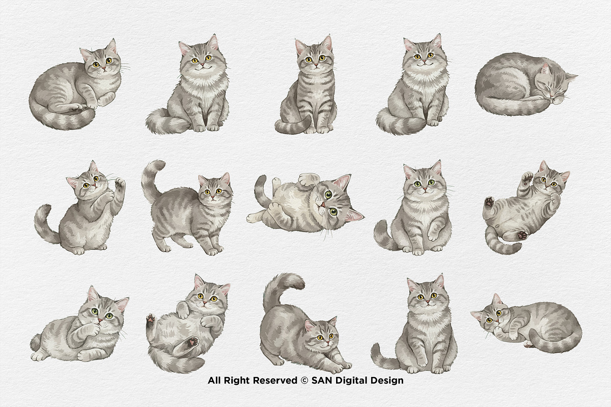 15 Bundle Watercolor Grey Cats Pet, an Animal Illustration by Morspective (Photo 15 of 15)