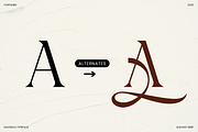 Magnola - Elegant Modern Serif, a Serif Font by Font Liner (Thumbnail 8 of 11)