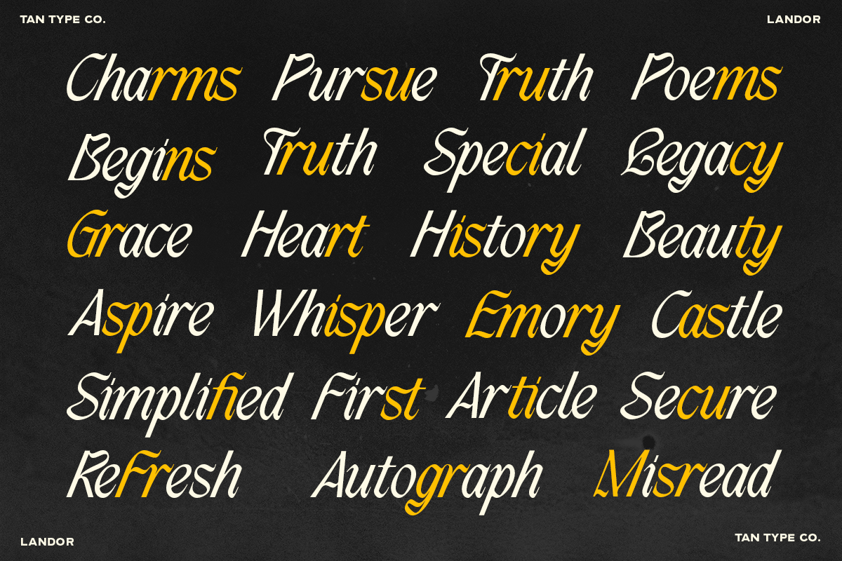 TAN - LANDOR, a Blackletter Font by TanType (Photo 9 of 14)