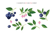 Delicious blueberries. Vector set., a Graphic by natamastery (Thumbnail 2 of 7)