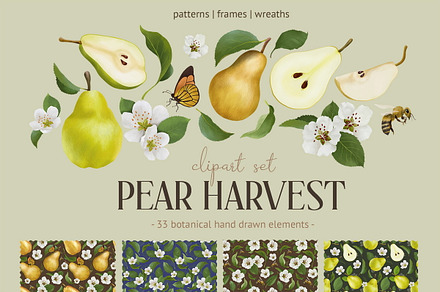 Pear harvest. Clipart collection
