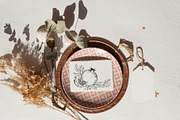 Black & white pomegranates, an Object Graphic by Jeanna Draw (Thumbnail 8 of 8)
