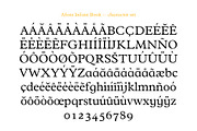 Afons Infant typeface family, a Serif Font by Andy Peat (Thumbnail 4 of 5)