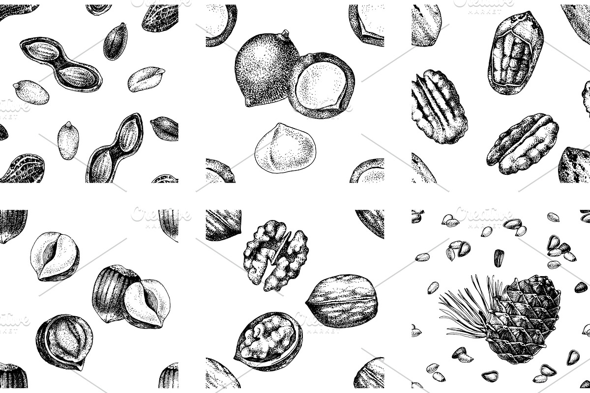 Hard nut graphic design set, a Food Illustration by handsketched (Photo 18 of 18)