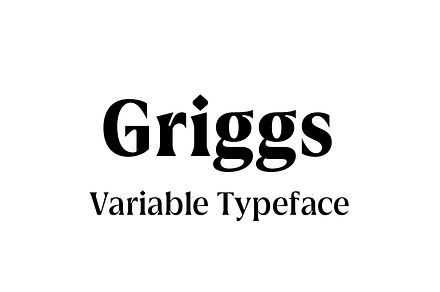 Griggs Variable Typeface, a Serif Font by Seniors