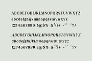 Silvex Editorial Serif Family Font, a Serif Font by UICreative (Thumbnail 7 of 13)