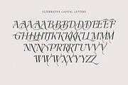The Bilstein Editorial, a Serif Font by Pista Mova (Thumbnail 16 of 20)