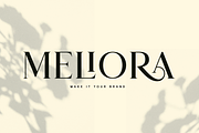 Carolina || Modern Serif  Font, a Serif Font by Idea Studio (Thumbnail 6 of 12)