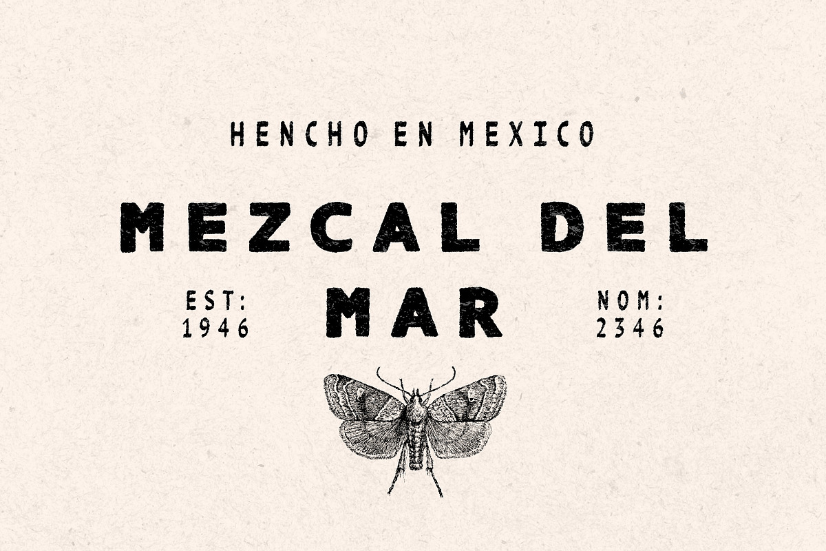 TEXTURE FONT COLLECTION (10 fonts), a Serif Font by Tropical Type (Photo 4 of 11)