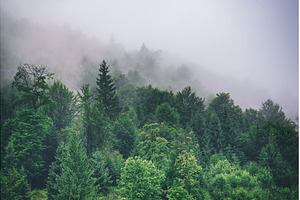 Misty mountain landscape, a Nature Photo by Nature and travel