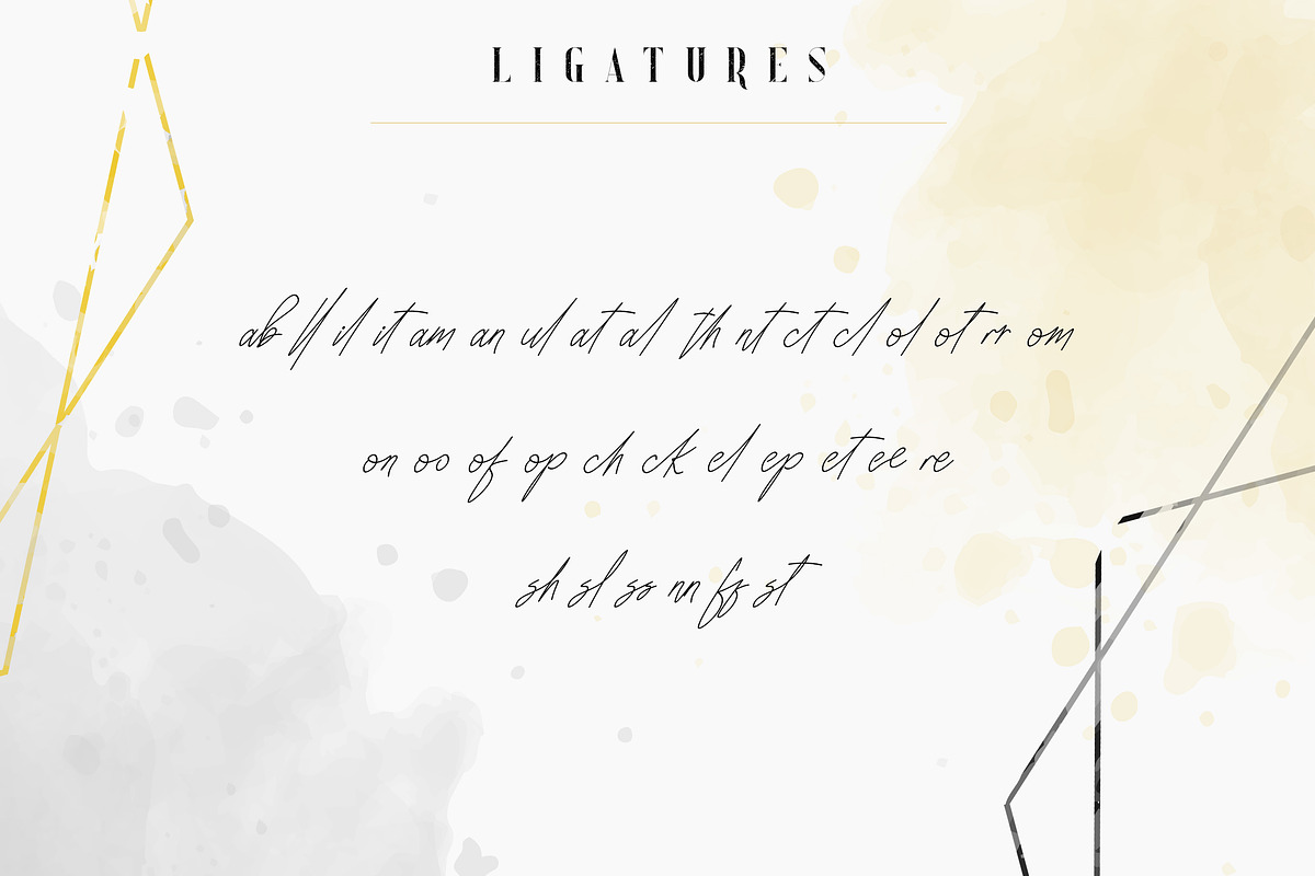 Sugar Spice - font duo + Extras, a Serif Font by VP Fonts (Photo 13 of 20)