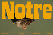 Notre - Plus Bonus Photos, a Sans Serif Font by Flavortype (Thumbnail 1 of 16)