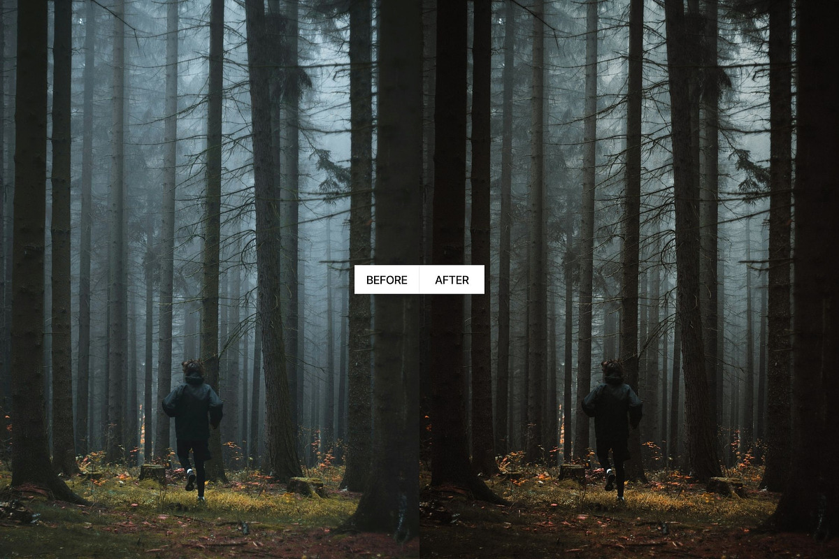 Moody Earth Tones Lightroom Presets, a Preset Add-On by PixaSquare (Photo 5 of 10)