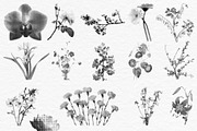 Floral Halftone & Ink PNG Overlays, an Object Graphic by alonahaidash (Thumbnail 8 of 11)