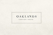 Apothecary Serif, a Serif Font by Nicky Laatz (Thumbnail 4 of 11)