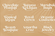 Fragille Modern Serif, a Serif Font by Silverdav (Thumbnail 7 of 10)
