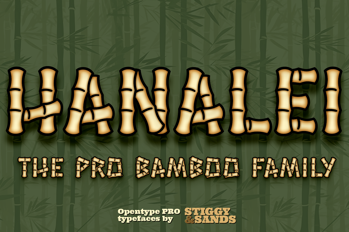 Hanalei Pro Family, a Sans Serif Font by Stiggy & Sands (Photo 1 of 9)