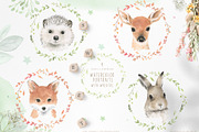 watercolor forest animal portraits, an Animal Illustration by beehouse studio (Thumbnail 4 of 11)