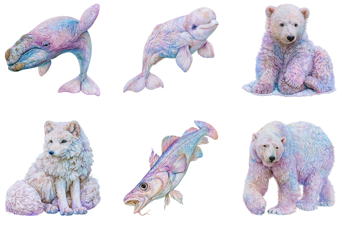 Watercolor Arctic Animals Clipart, a Seasonal Illustration by CreationArt (Photo 5 of 5)