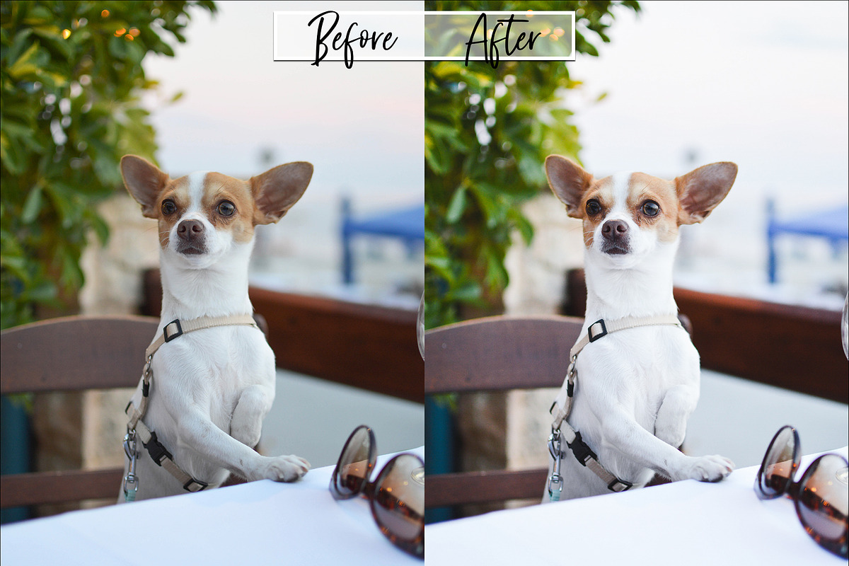 Luminous Lightroom Presets preview 6