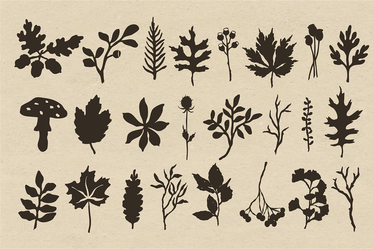 Autumn Botanicals Clipart, a Seasonal Illustration by RaDavCrafts (Photo 3 of 12)